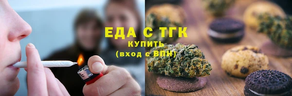 тгк Бородино